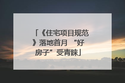 《住宅项目规范》落地首月 “好房子”受青睐
