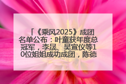 《乘风2025》成团名单公布：叶童获年度总冠军，李晟、吴宣仪等10位姐姐成功成团，陈德容获年度高光人物