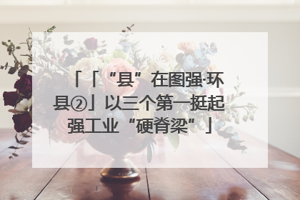 「“县”在图强·环县②」以三个第一挺起强工业“硬脊梁”
