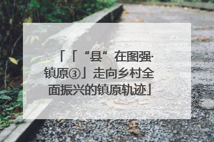 「“县”在图强·镇原③」走向乡村全面振兴的镇原轨迹