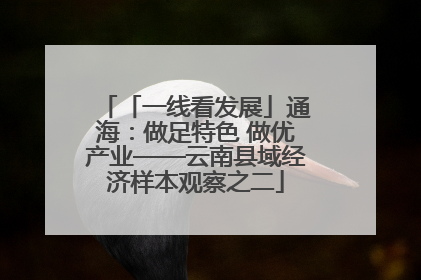「一线看发展」通海：做足特色 做优产业——云南县域经济样本观察之二