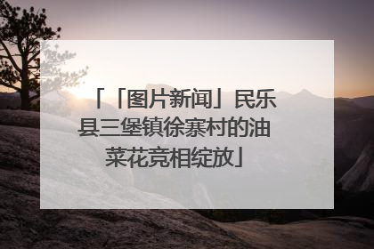 「图片新闻」民乐县三堡镇徐寨村的油菜花竞相绽放