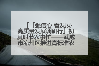 「强信心 看发展·高质量发展调研行」初夏时节农事忙——武威市凉州区推进高标准农田建设见闻