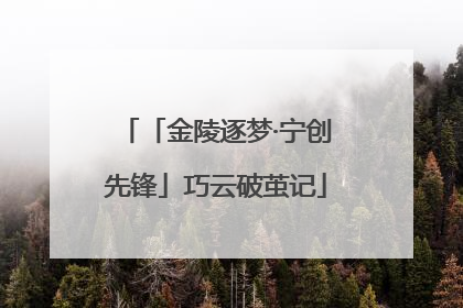 「金陵逐梦·宁创先锋」巧云破茧记