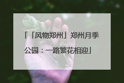「风物郑州」郑州月季公园：一路繁花相迎