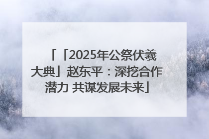 「2025年公祭伏羲大典」赵东平：深挖合作潜力 共谋发展未来