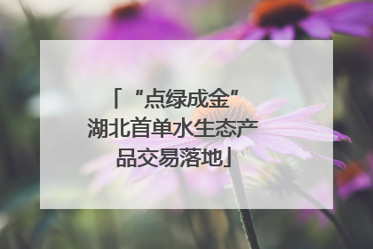 “点绿成金” 湖北首单水生态产品交易落地