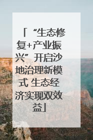 “生态修复+产业振兴”开启沙地治理新模式 生态经济实现双效益