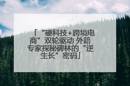 “硬科技+跨境电商”双轮驱动 外籍专家探秘碑林的“逆生长”密码