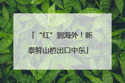 “红”到海外！新泰鲜山楂出口中东
