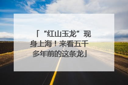 “红山玉龙”现身上海！来看五千多年前的这条龙