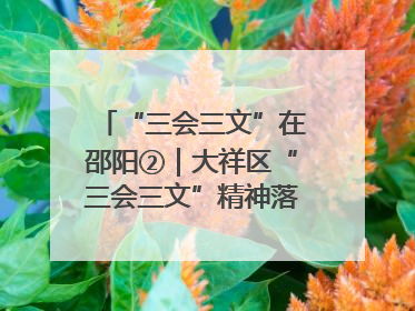 “三会三文”在邵阳②｜大祥区“三会三文”精神落地有声 以实干实绩助力区域高质量发展