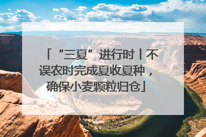 “三夏”进行时丨不误农时完成夏收夏种，确保小麦颗粒归仓