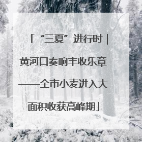“三夏”进行时｜黄河口奏响丰收乐章——全市小麦进入大面积收获高峰期