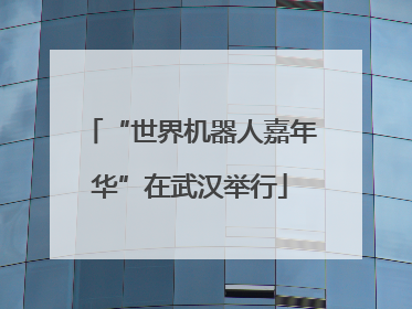 “世界机器人嘉年华”在武汉举行