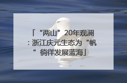 “两山”20年观澜：浙江庆元生态为“帆”徜徉发展蓝海