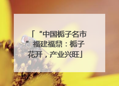 “中国栀子名市”福建福鼎：栀子花开，产业兴旺