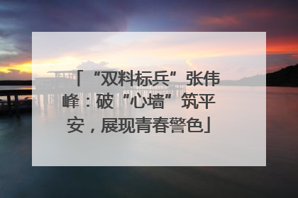 “双料标兵”张伟峰：破“心墙”筑平安，展现青春警色