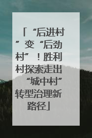 “后进村”变“后劲村”！胜利村探索走出“城中村”转型治理新路径