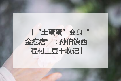 “土蛋蛋”变身“金疙瘩”：孙伯镇西程村土豆丰收记
