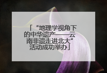 “地理学视角下的中华遗产——云南非遗走进北大”活动成功举办