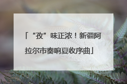 “孜”味正浓！新疆阿拉尔市奏响夏收序曲