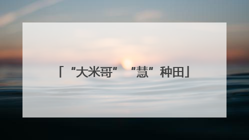 “大米哥”“慧”种田