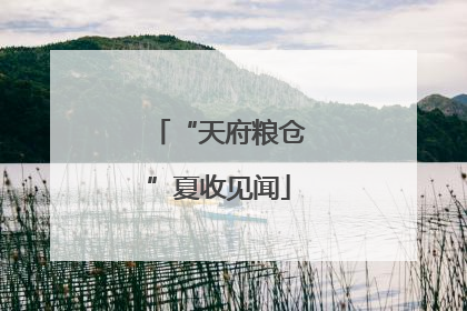 “天府粮仓”夏收见闻