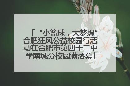 “小篮球，大梦想”合肥狂风公益校园行活动在合肥市第四十二中学南城分校圆满落幕