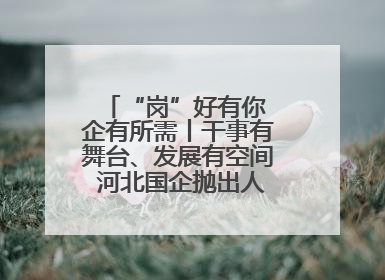 “岗”好有你 企有所需丨干事有舞台、发展有空间 河北国企抛出人才“橄榄枝”