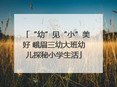 “幼”见“小”美好 峨眉三幼大班幼儿探秘小学生活