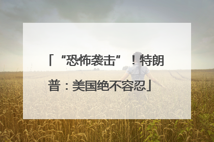 “恐怖袭击”！特朗普：美国绝不容忍