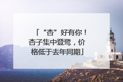 “杏”好有你！杏子集中登鹭，价格低于去年同期