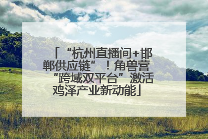 “杭州直播间+邯郸供应链”！角兽营“跨域双平台”激活鸡泽产业新动能