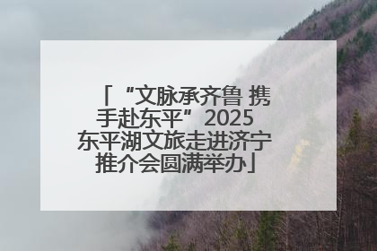 “文脉承齐鲁 携手赴东平”2025东平湖文旅走进济宁推介会圆满举办