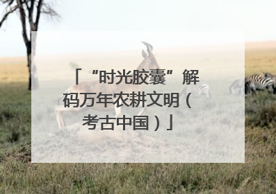 “时光胶囊”解码万年农耕文明（考古中国）