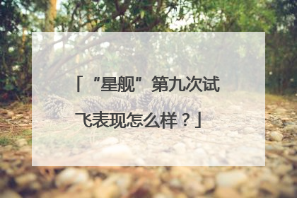 “星舰”第九次试飞表现怎么样？