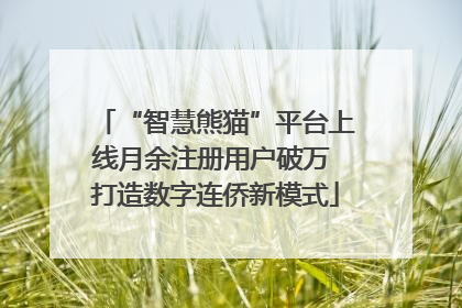 “智慧熊猫”平台上线月余注册用户破万 打造数字连侨新模式