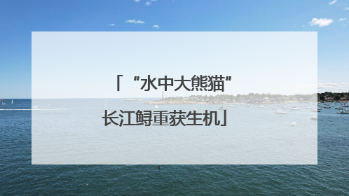 “水中大熊猫”长江鲟重获生机