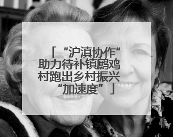“沪滇协作”助力待补镇鹧鸡村跑出乡村振兴“加速度”