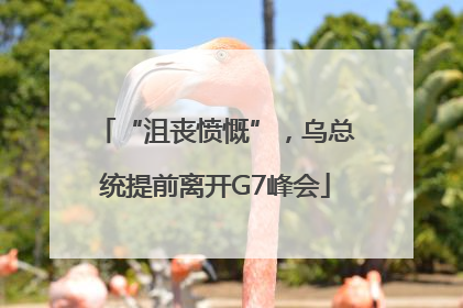 “沮丧愤慨”，乌总统提前离开G7峰会