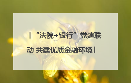 “法院+银行”党建联动 共建优质金融环境
