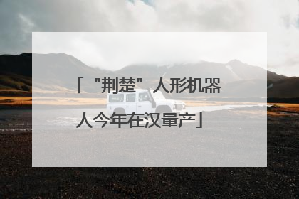 “荆楚”人形机器人今年在汉量产