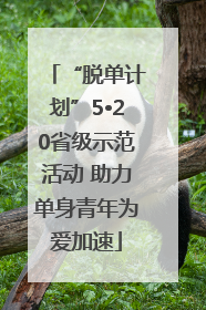 “脱单计划”5•20省级示范活动 助力单身青年为爱加速