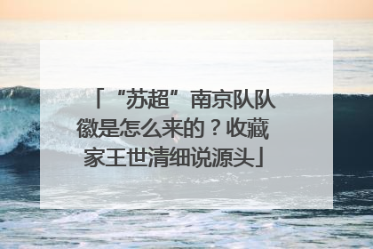 “苏超”南京队队徽是怎么来的？收藏家王世清细说源头