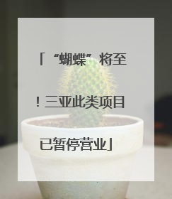 “蝴蝶”将至！三亚此类项目已暂停营业