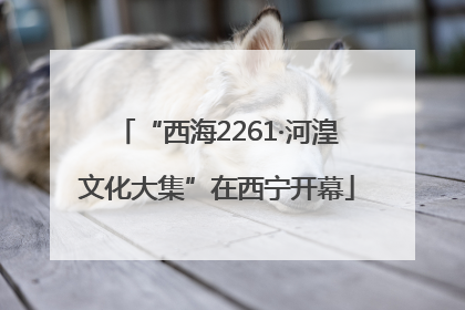 “西海2261·河湟文化大集”在西宁开幕