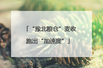 “豫北粮仓”麦收跑出“加速度”