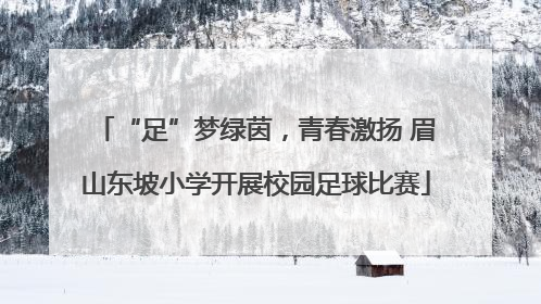 “足”梦绿茵，青春激扬 眉山东坡小学开展校园足球比赛