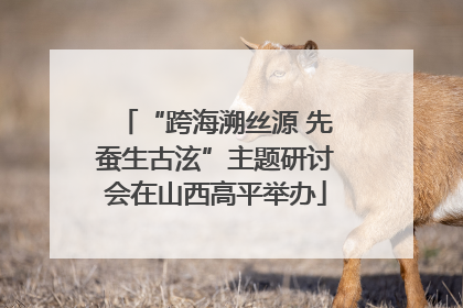 “跨海溯丝源 先蚕生古泫”主题研讨会在山西高平举办